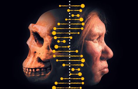 3 марта, Москва: Неандерталец: как появилась наука палеогеномика